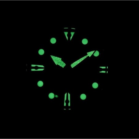 Orologio Uomo Citizen NH8380-15EE